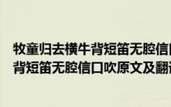 牧童归去横牛背短笛无腔信口吹诗句的意思（牧童归去横牛背短笛无腔信口吹原文及翻译）