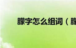 朦字怎么组词（朦字可以怎么组词）