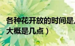 各种花开放的时间是几点（各种花开放的时间大概是几点）