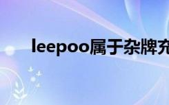 leepoo属于杂牌充电器吗（leepoo）