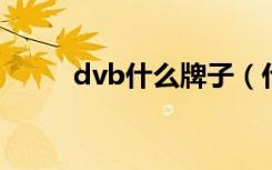 dvb什么牌子（什么牌子的dv好）