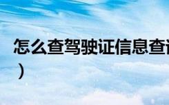 怎么查驾驶证信息查询（如何查询驾驶证信息）