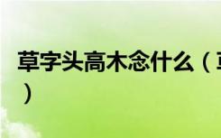 草字头高木念什么（草字头高木组成的字简介）