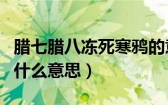 腊七腊八冻死寒鸦的意思（腊七腊八冻死寒鸦什么意思）