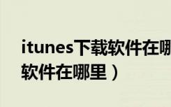 itunes下载软件在哪里查看（itunes下载的软件在哪里）