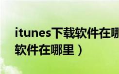 itunes下载软件在哪里查看（itunes下载的软件在哪里）