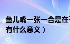 鱼儿嘴一张一合是在干什么（鱼儿嘴一张一合有什么意义）