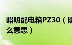 照明配电箱PZ30（照明配电箱标注pz30是什么意思）