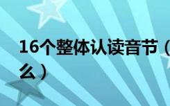 16个整体认读音节（16个整体认读音节是什么）