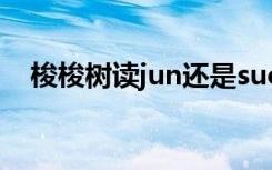 梭梭树读jun还是suo（梭梭树简单介绍）