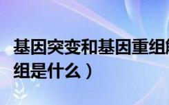 基因突变和基因重组解释（基因突变和基因重组是什么）