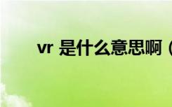 vr 是什么意思啊（vr是什么意思呀）