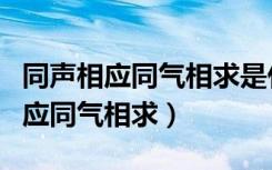 同声相应同气相求是什么意思（什么是同声相应同气相求）