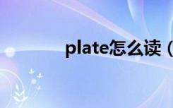 plate怎么读（plate的读法）