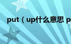 put（up什么意思 put up的意思有什么）