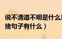 说不清道不明是什么意思（说不清道不明的情绪句子有什么）