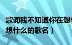 歌词我不知道你在想什么（歌词我不知道你在想什么的歌名）