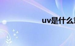 uv是什么意思（uv）