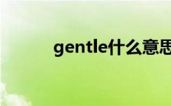 gentle什么意思（gentle解释）