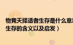 物竞天择适者生存是什么意思是形容什么的（物竞天择适者生存的含义以及启发）