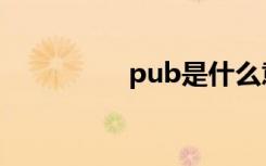 pub是什么意思（pub）