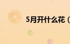 5月开什么花（5月开哪些花）