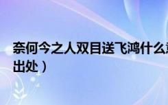 奈何今之人双目送飞鸿什么意思（奈何今之人双目送飞鸿的出处）