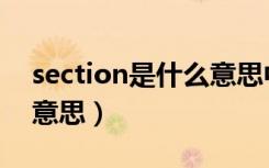 section是什么意思中文翻译（section是啥意思）