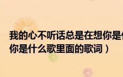 我的心不听话总是在想你是什么歌（我的心不听话总是在想你是什么歌里面的歌词）