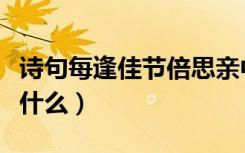 诗句每逢佳节倍思亲中的佳节指什么（佳节指什么）