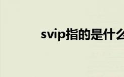 svip指的是什么（什么是svip）