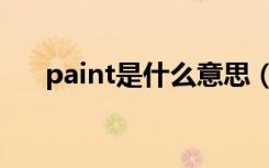 paint是什么意思（paint中文的解释）