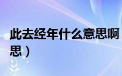 此去经年什么意思啊（怎么理解此去经年的意思）