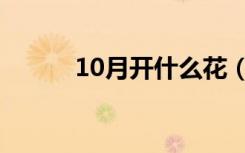 10月开什么花（10月开哪些花）