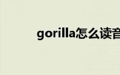 gorilla怎么读音（gorilla解释）