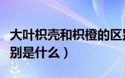 大叶枳壳和枳橙的区别（大叶枳壳和枳橙的区别是什么）