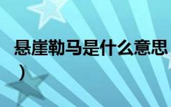 悬崖勒马是什么意思（悬崖勒马意思简单介绍）