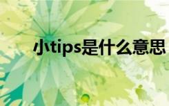 小tips是什么意思（小tips解释含义）