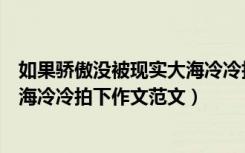 如果骄傲没被现实大海冷冷拍下作文（如果骄傲没被现实大海冷冷拍下作文范文）