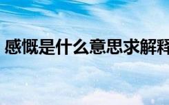 感慨是什么意思求解释（词语感慨什么意思）