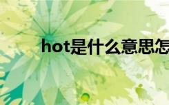 hot是什么意思怎么读（如何使用）