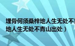 埋骨何须桑梓地人生无处不青山是什么意思（埋骨何须桑梓地人生无处不青山出处）