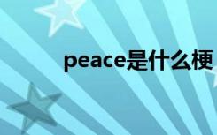 peace是什么梗（peace的意思）