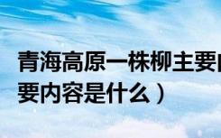 青海高原一株柳主要内容（青海高原一株柳主要内容是什么）