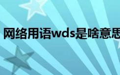 网络用语wds是啥意思（网络用语wds解释）