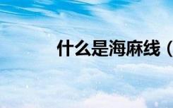 什么是海麻线（海麻线是什么）