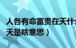 人各有命富贵在天什么意思（人各有命富贵在天是啥意思）