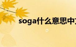 soga什么意思中文（soga的解释）