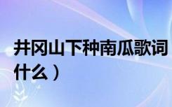 井冈山下种南瓜歌词（井冈山下种南瓜歌词是什么）