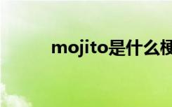 mojito是什么梗（mojito解释）